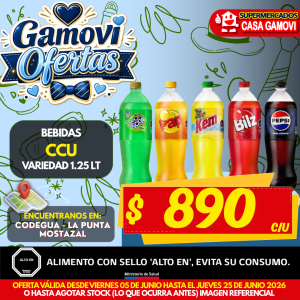 BEBIDAS CCU VARIEDADES 1.25 LITROS