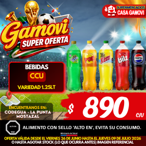 BEBIDAS CCU VARIEDADES 1.25 LITROS