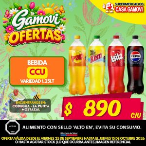 BEBIDAS CCU VARIEDADES 1.25 LITROS